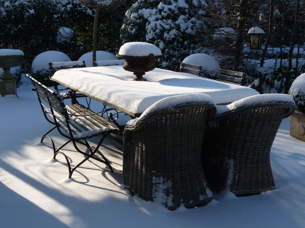 Bed&Breakfast Het Winterkoninkje Zuid-Scharwoude 外观 照片